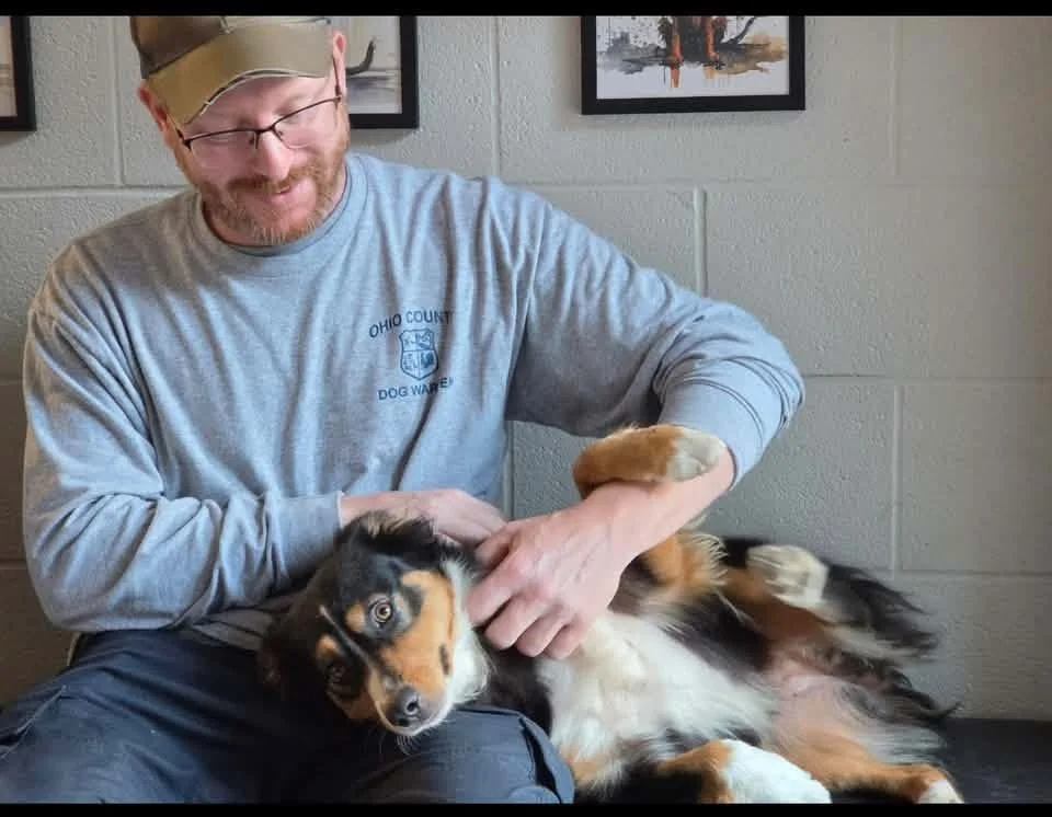 Lila being handled gently by Humane Society staff