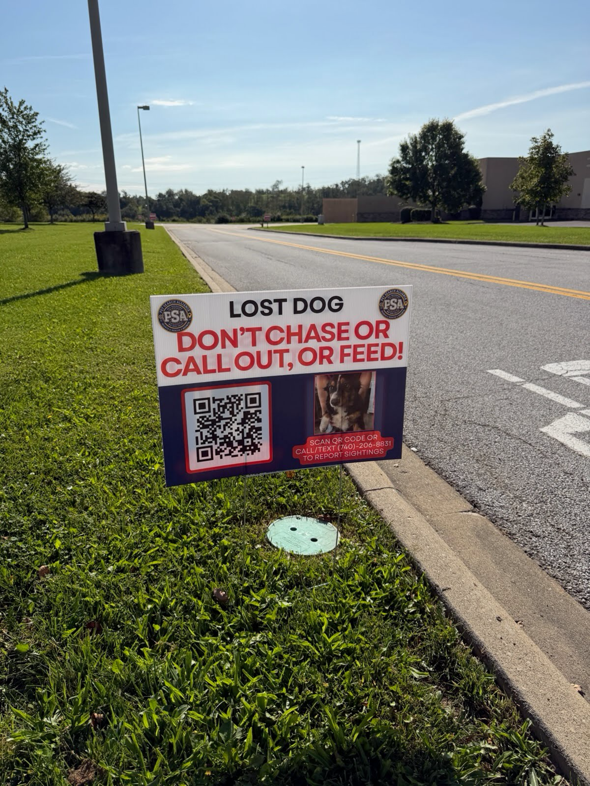 Pet Search Alliance yard sign at The Highlands reading Lost Dog, Do Not Chase or Call Out, or Feed