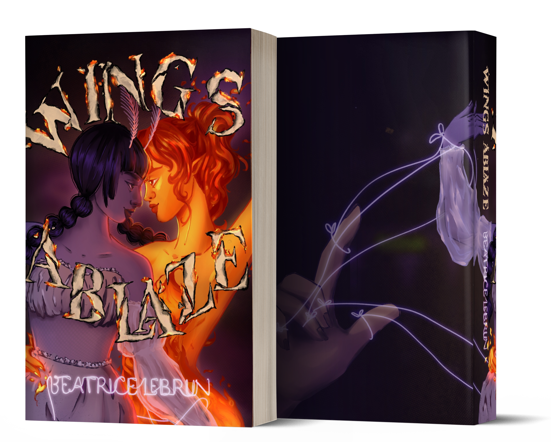 Illustrated book-cover example