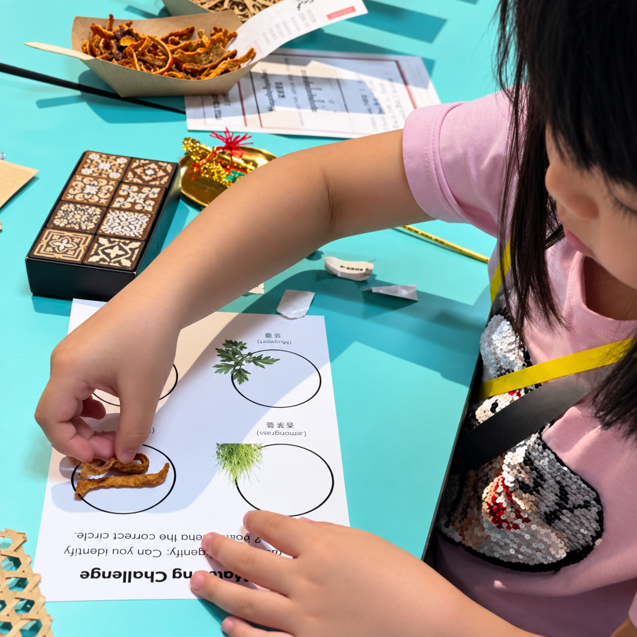 Little TCM Practitioners preschool workshop