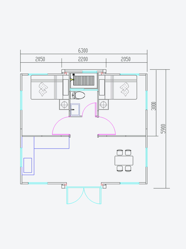 Luxury Container House