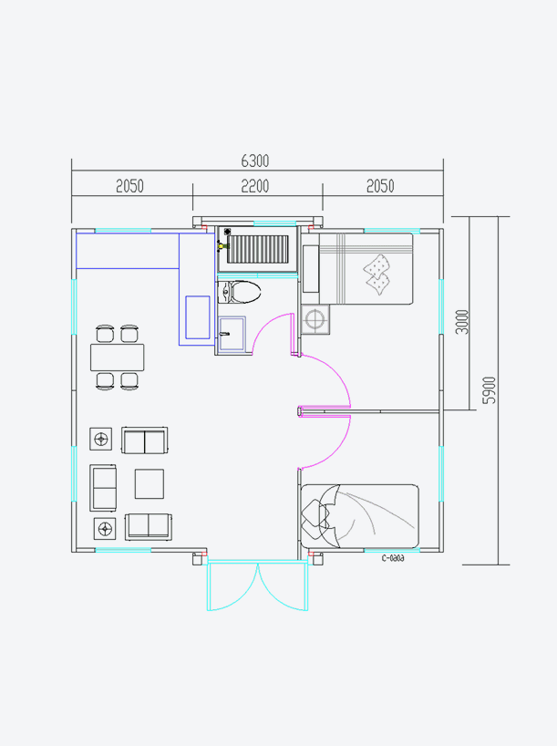 Luxury Container House