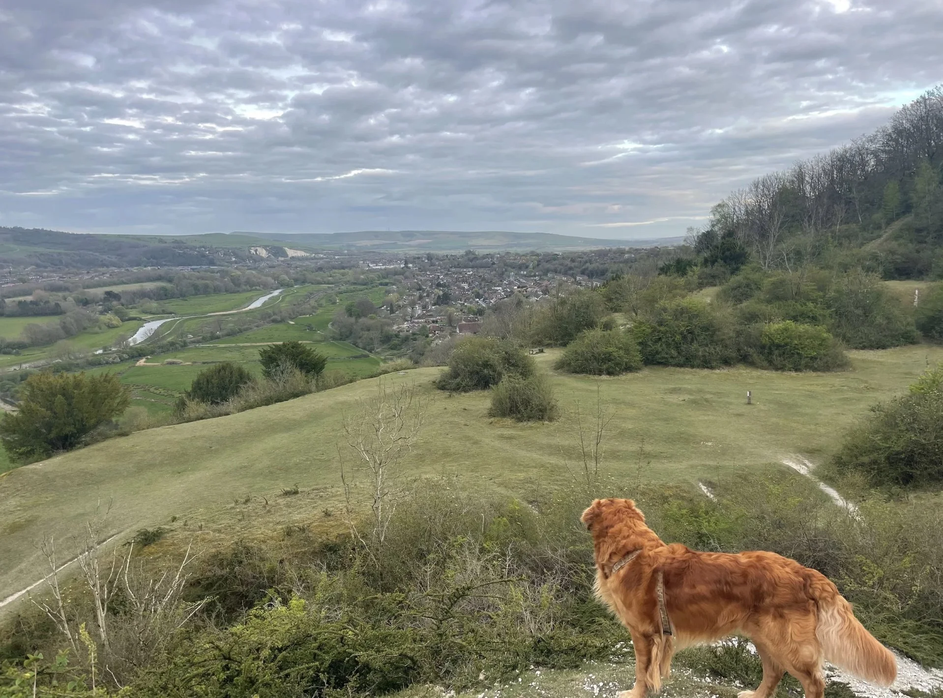 Overlooking the Ouse valley from the Downs
