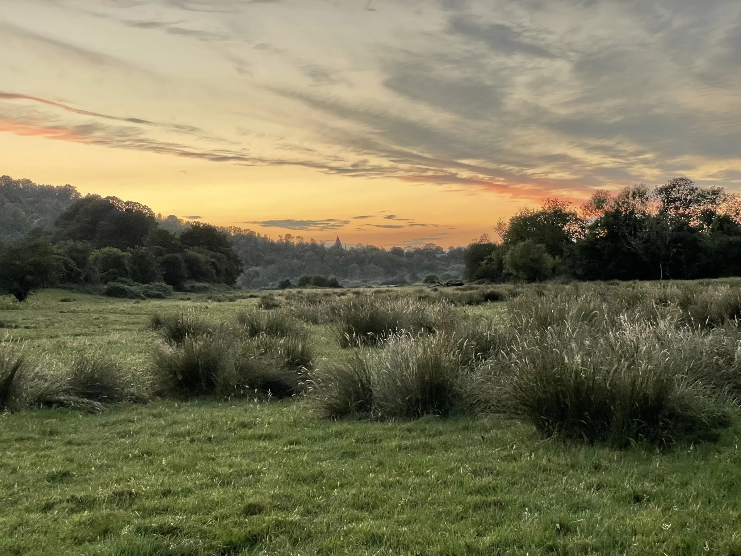 Sunrise over a Sussex meadow