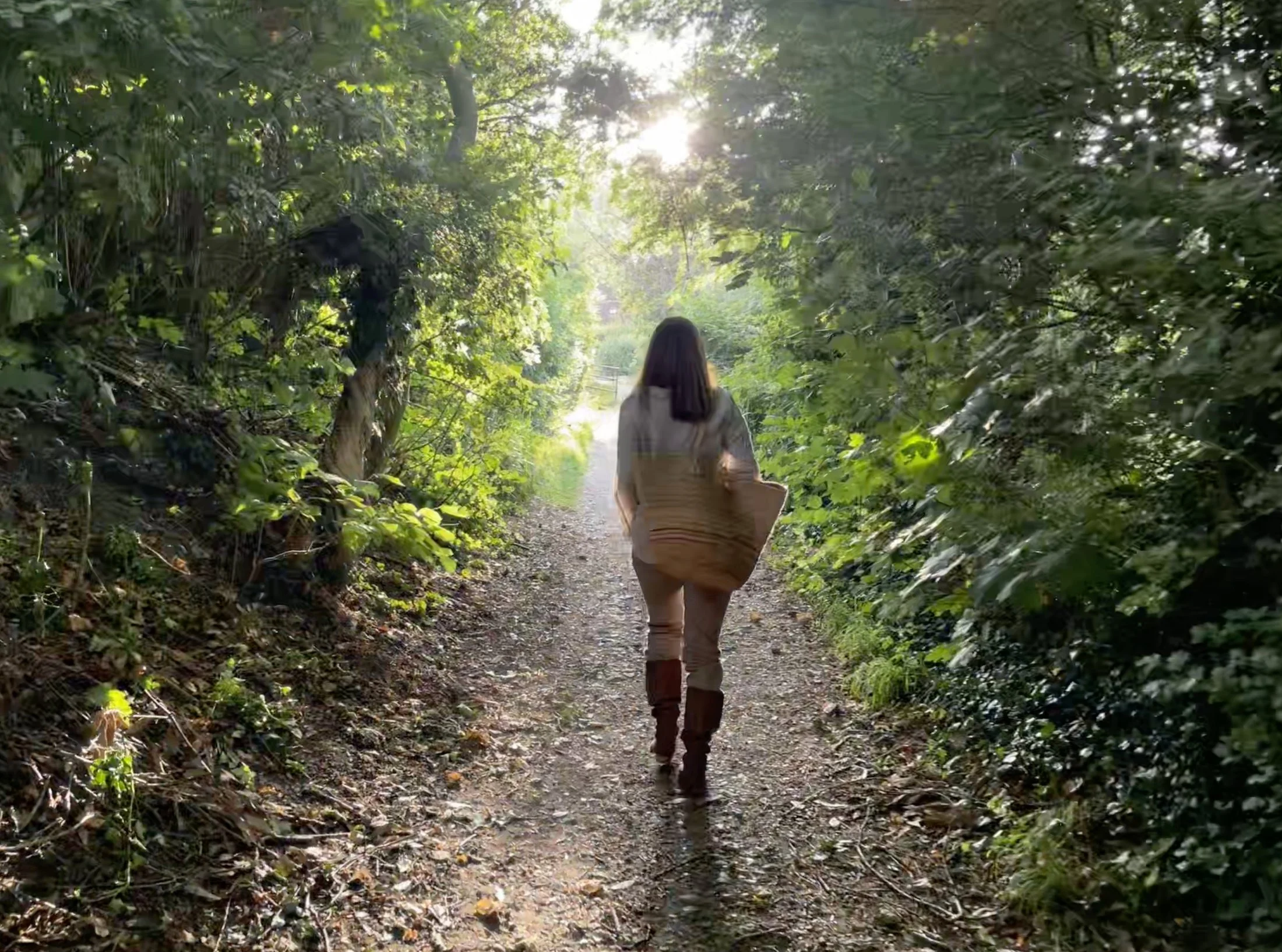 Walking a sunlit woodland path
