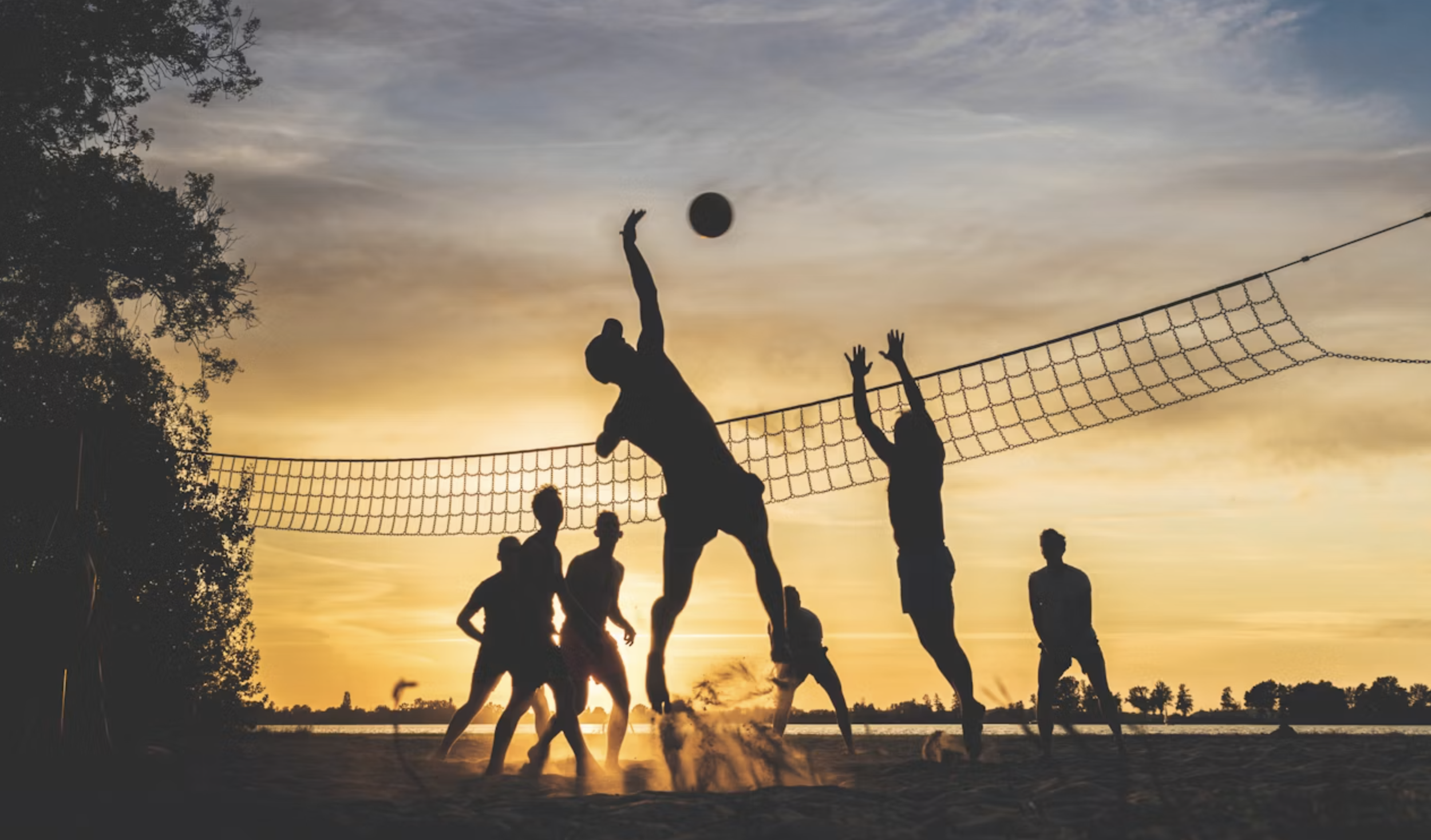 Sports community
