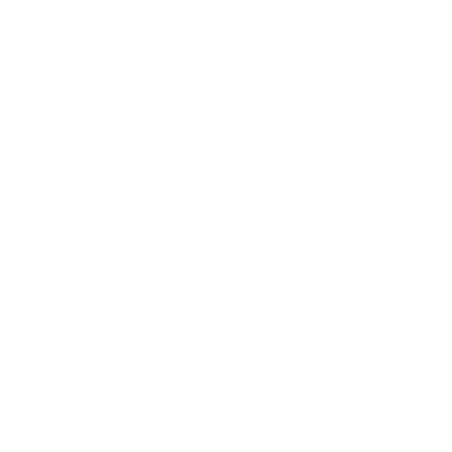Logo 1 Fractal