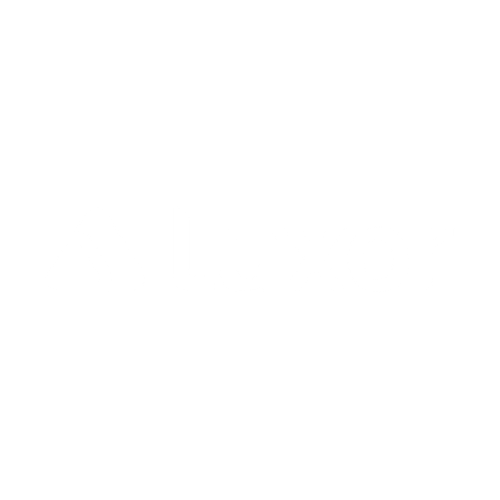 Logo 12
