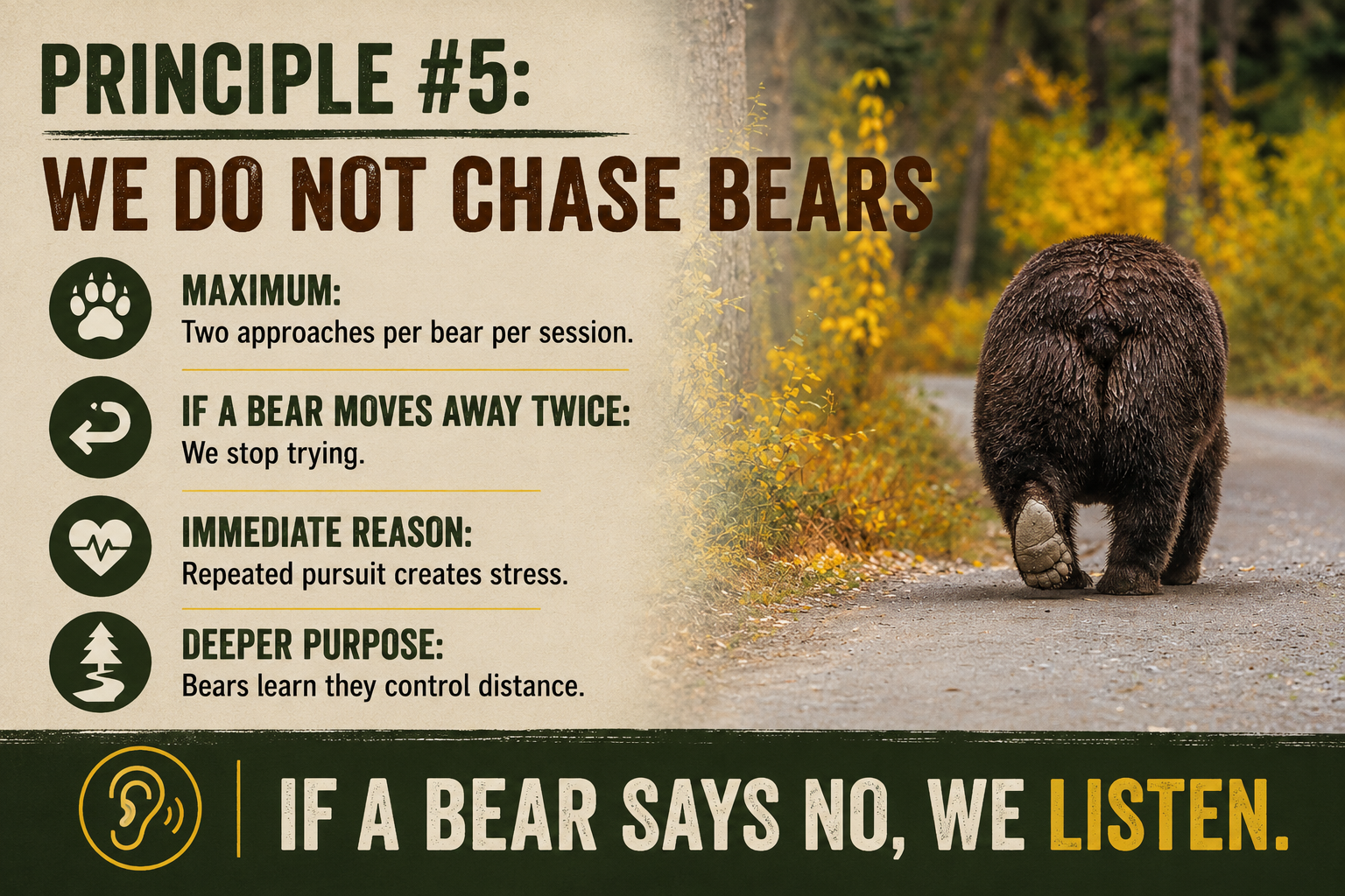 Principle 5