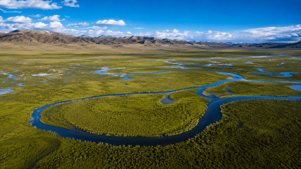 Longbaotan alpine wetlands