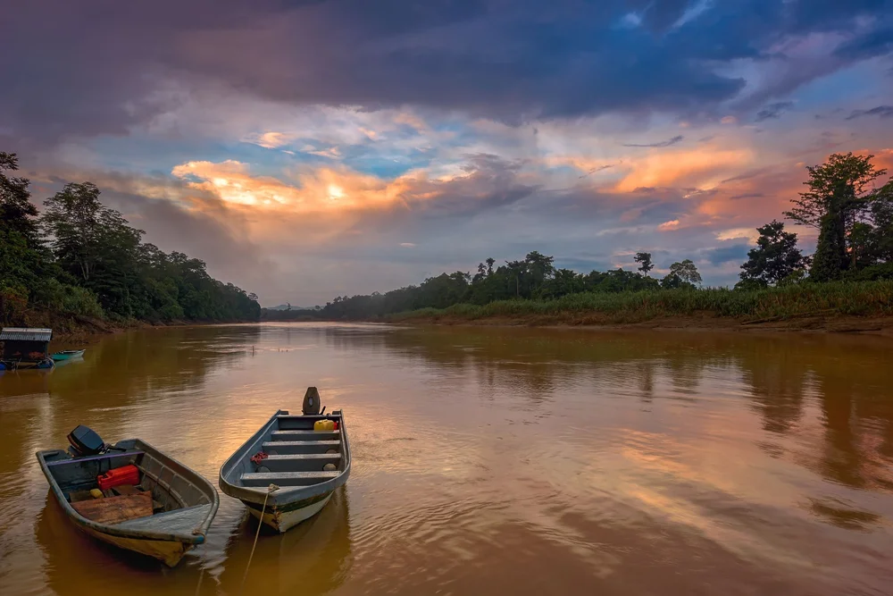 Kinabatangan River surrounded by rainforest