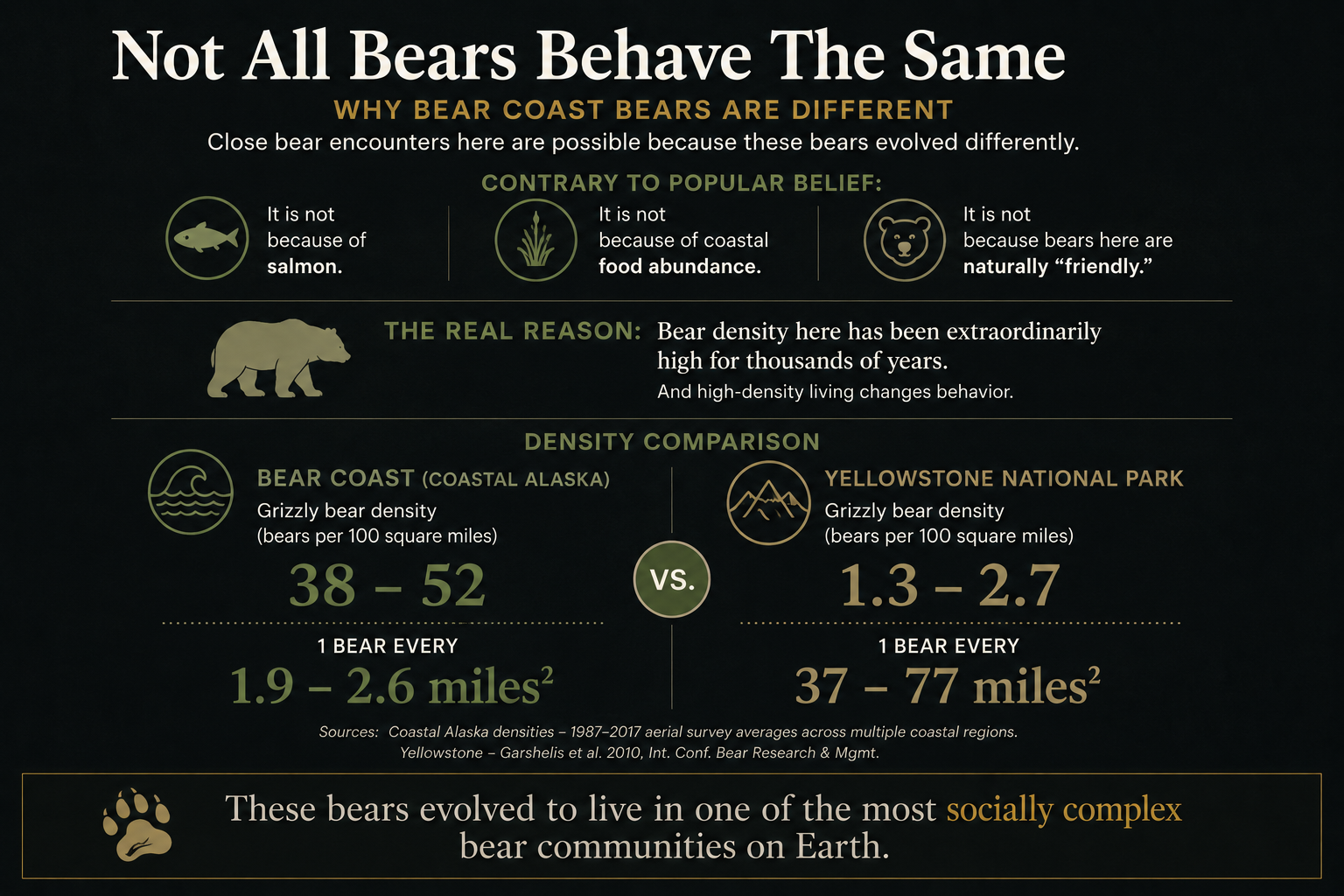 Bear Resources
