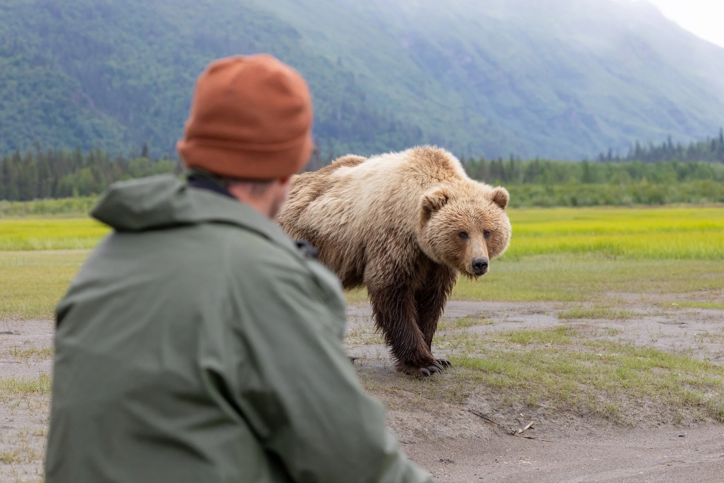 Founder, Justin Gibson, with a Brown bear on the Bear Coast, Alaska