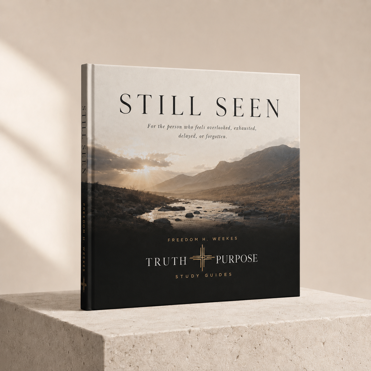 Still Seen hardcover