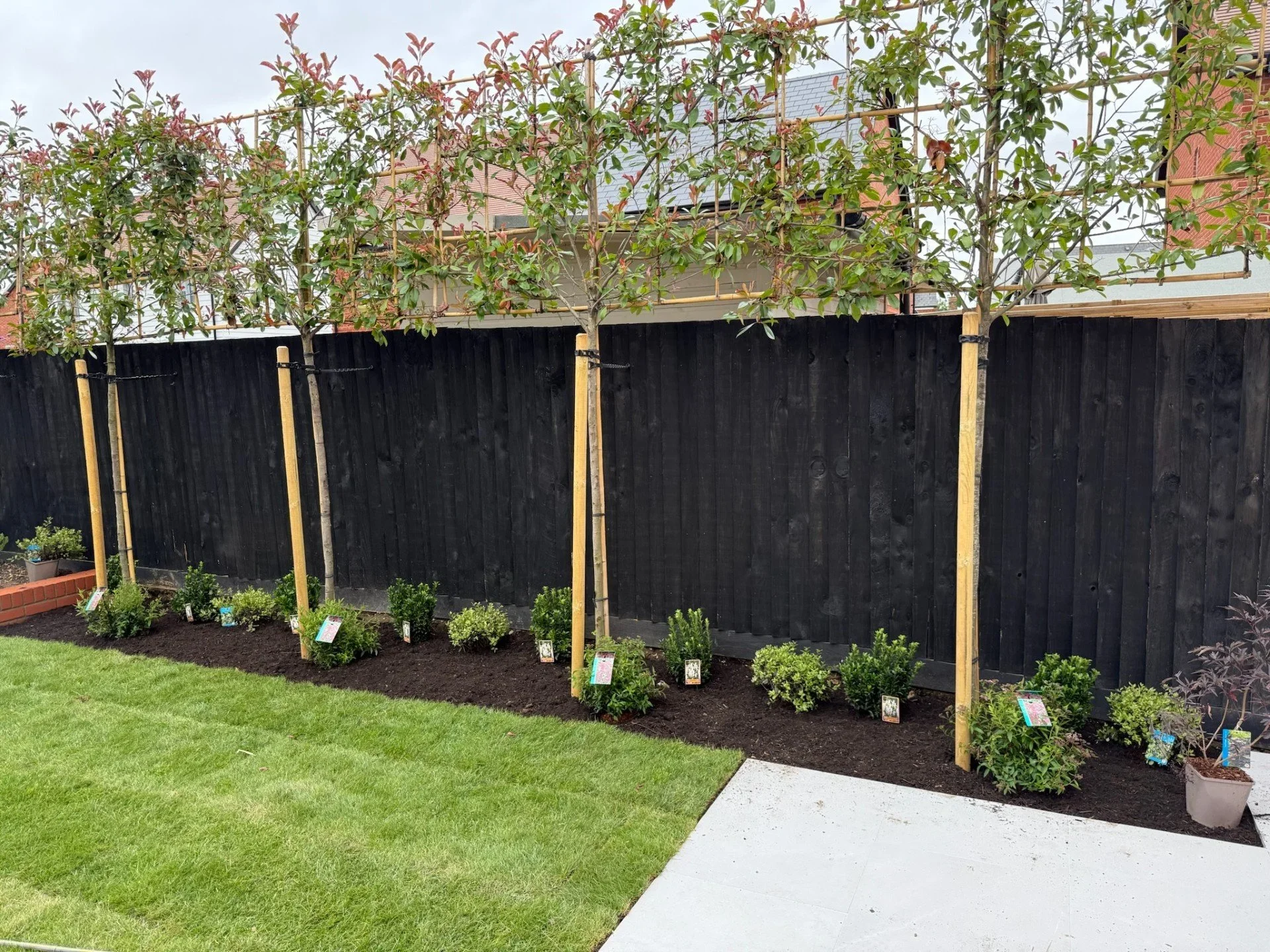 LS Landscape Solutions landscaping project 7