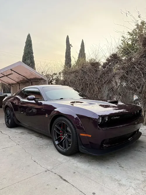 Close-up of a glossy black purple car showing the deep reflection from a 9H ceramic coating.