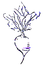 homeofficekitchen logo