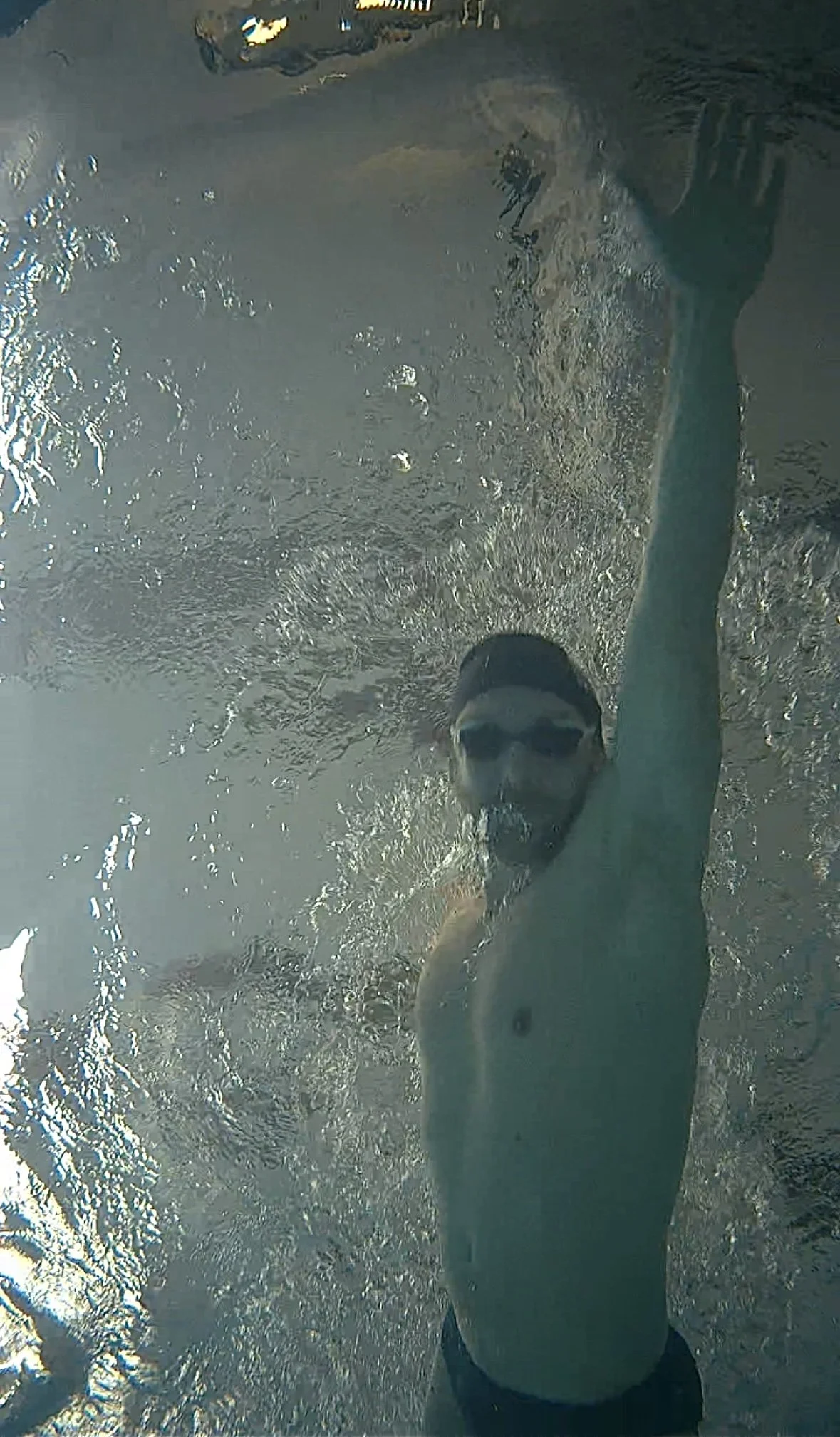 Hive Endurance athlete swimming