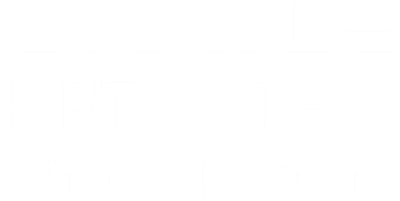 Oracle NetSuite Alliance Partner