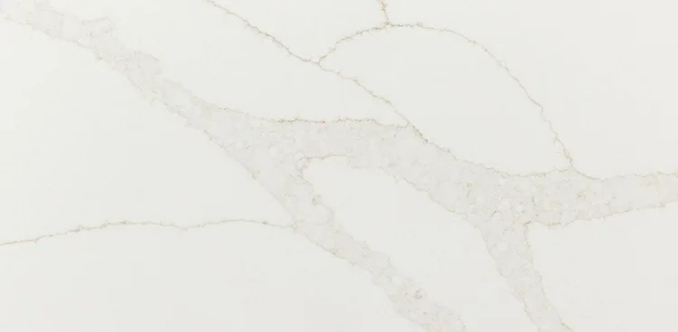 MSI Calacatta Elysio quartz close-up with a soft white base and subtle neutral veining