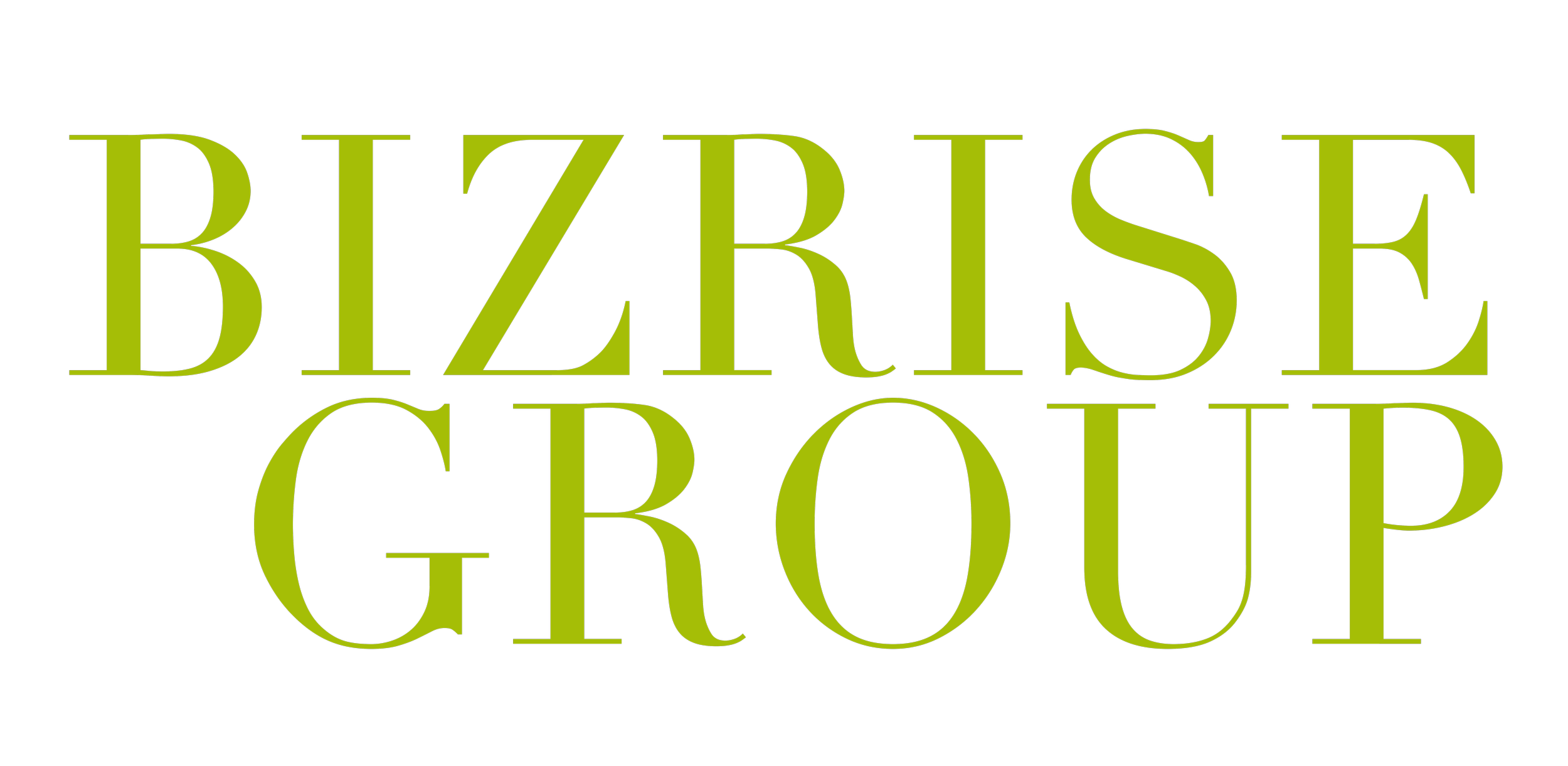 BizRise Group