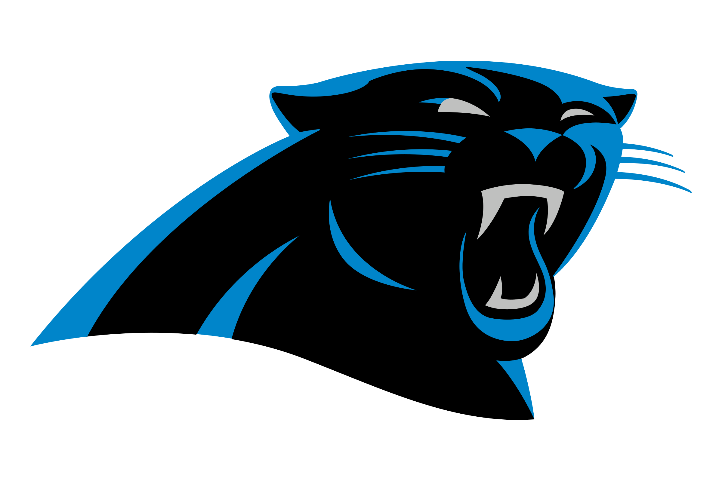 Carolina Panthers