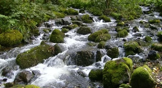 Gota de agua cayendo, representación del Día Mundial del Agua