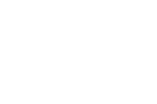 Logo 8