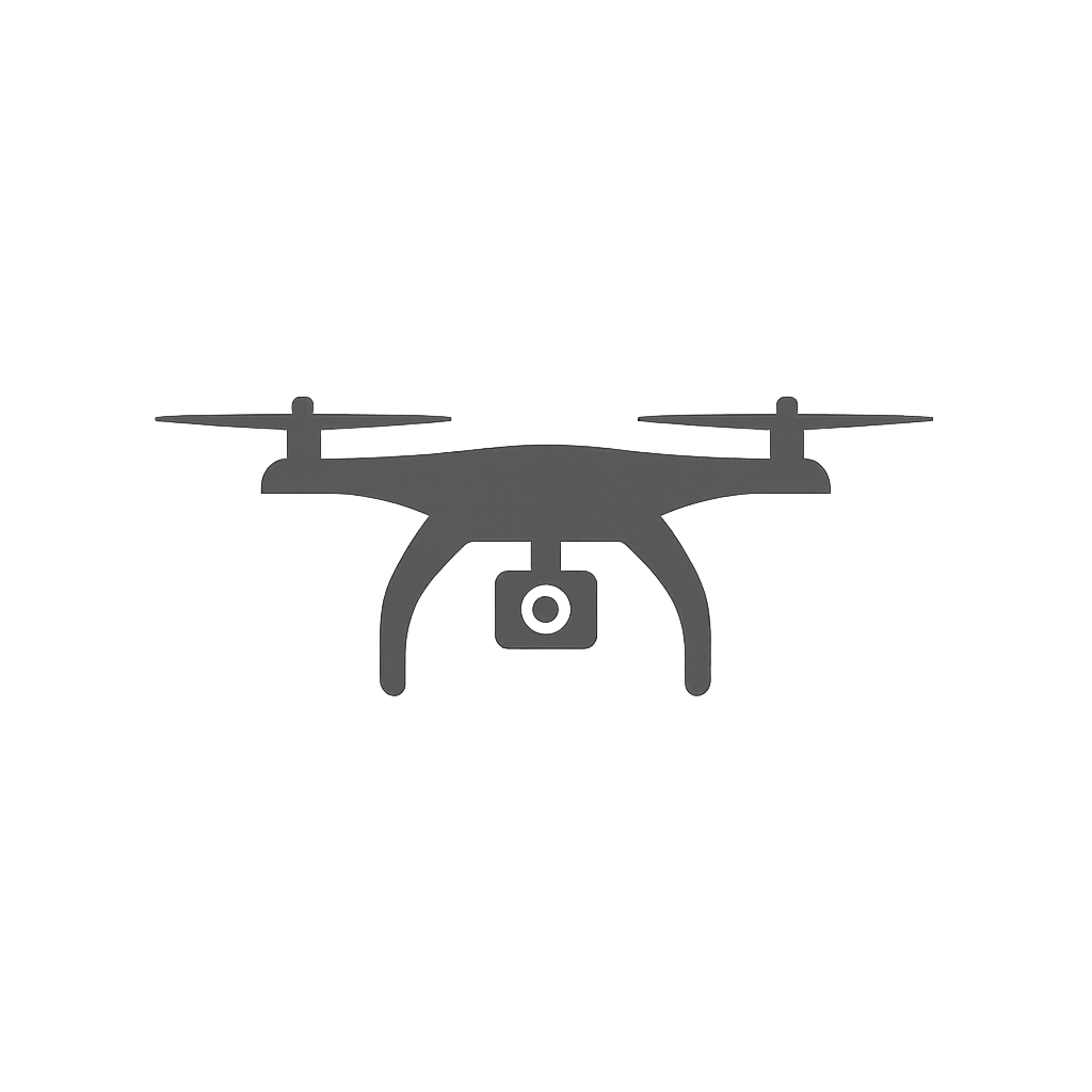 Aerial Surveys