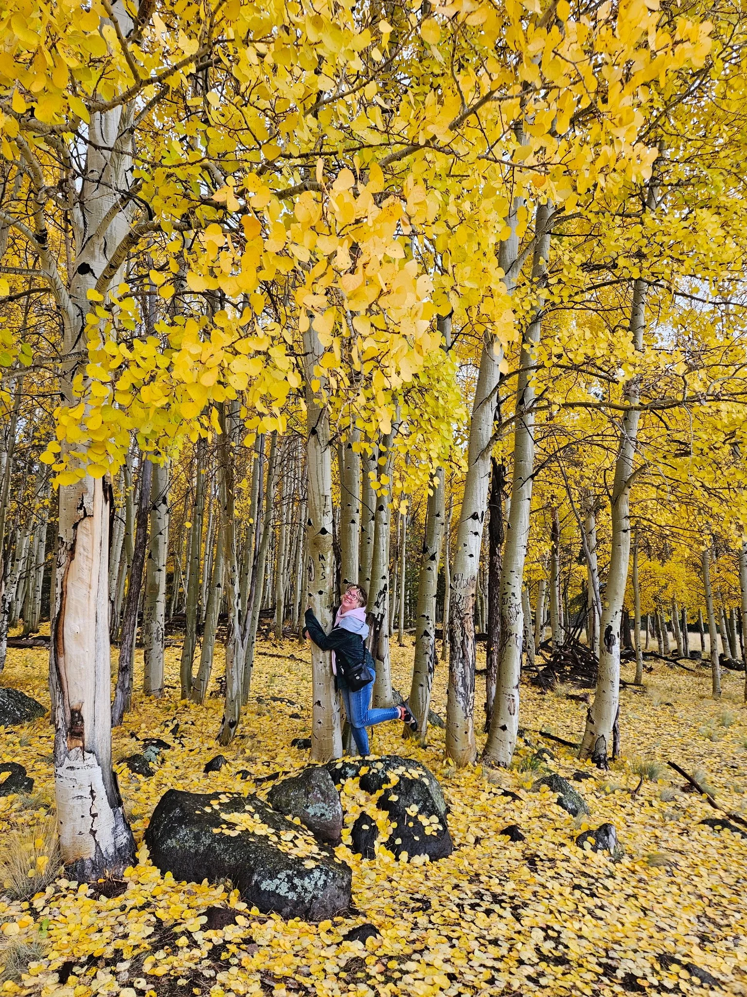 Forest and sustainable travel