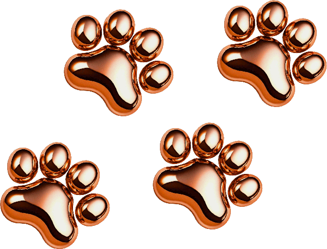 Puppy Paws