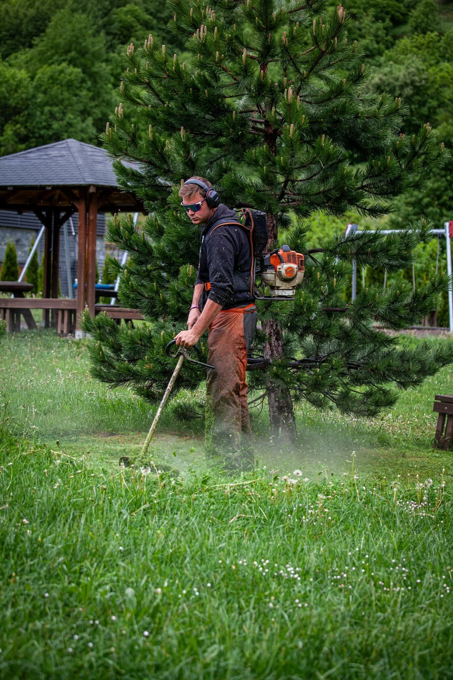 Lavoro 6