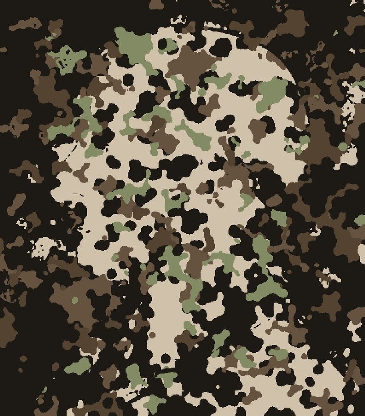 Large soft blotches in tan, olive, brown and black in a camouflage pattern; no portrait can be seen