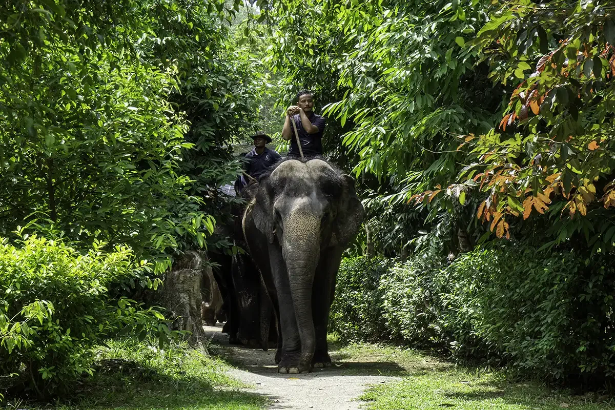National Elephant Conservation Centre