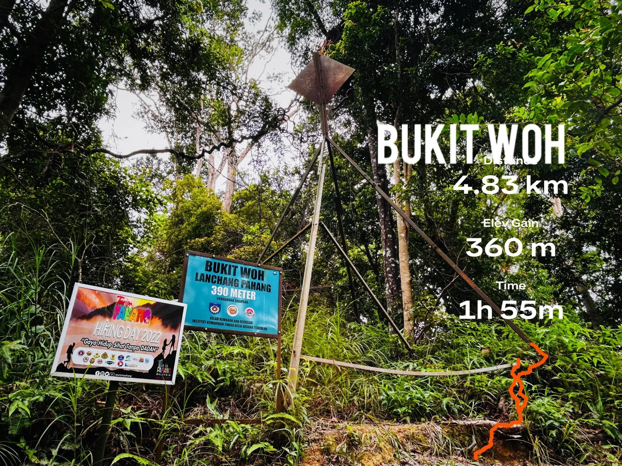 Bukit Woh Jungle Trail