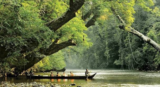 Taman Negara