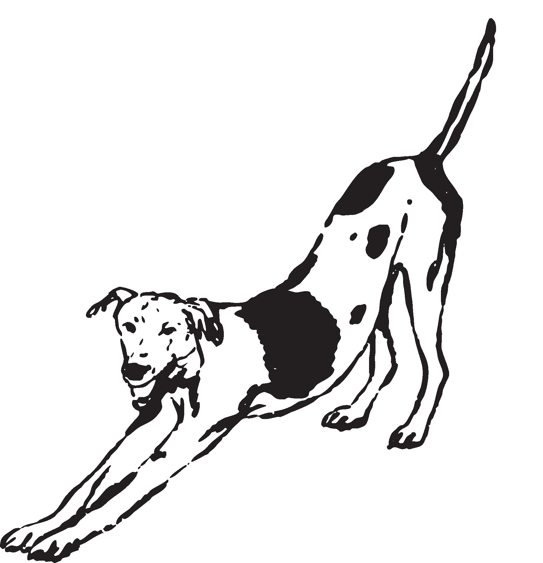wagging tail