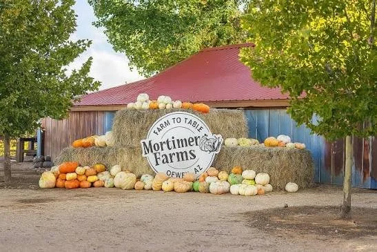 Mortimer Farms fall pumpkin fest
