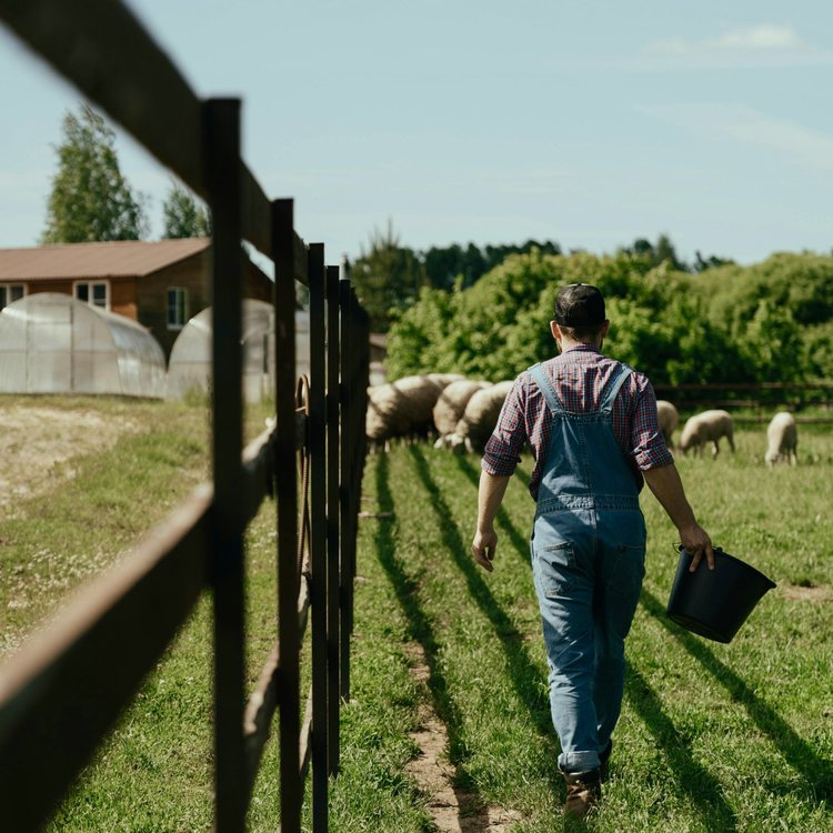 Farmer First Regenerative Pilot Program