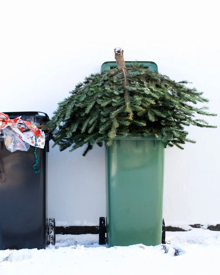 Christmas Tree Recycling