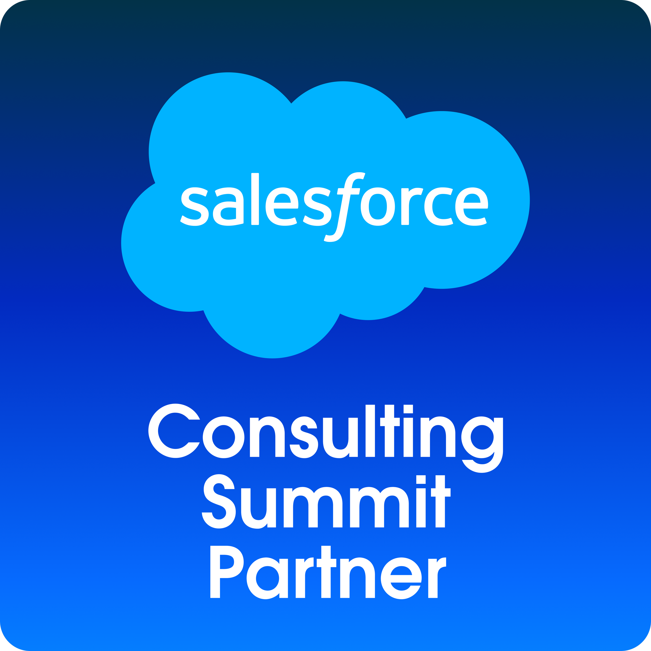 Salesforce Summit Partner