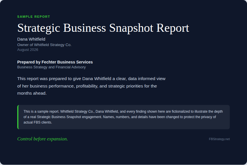 Strategic Business Snapshot Report cover — sample Fractional CFO deliverable from Fechter Business Services