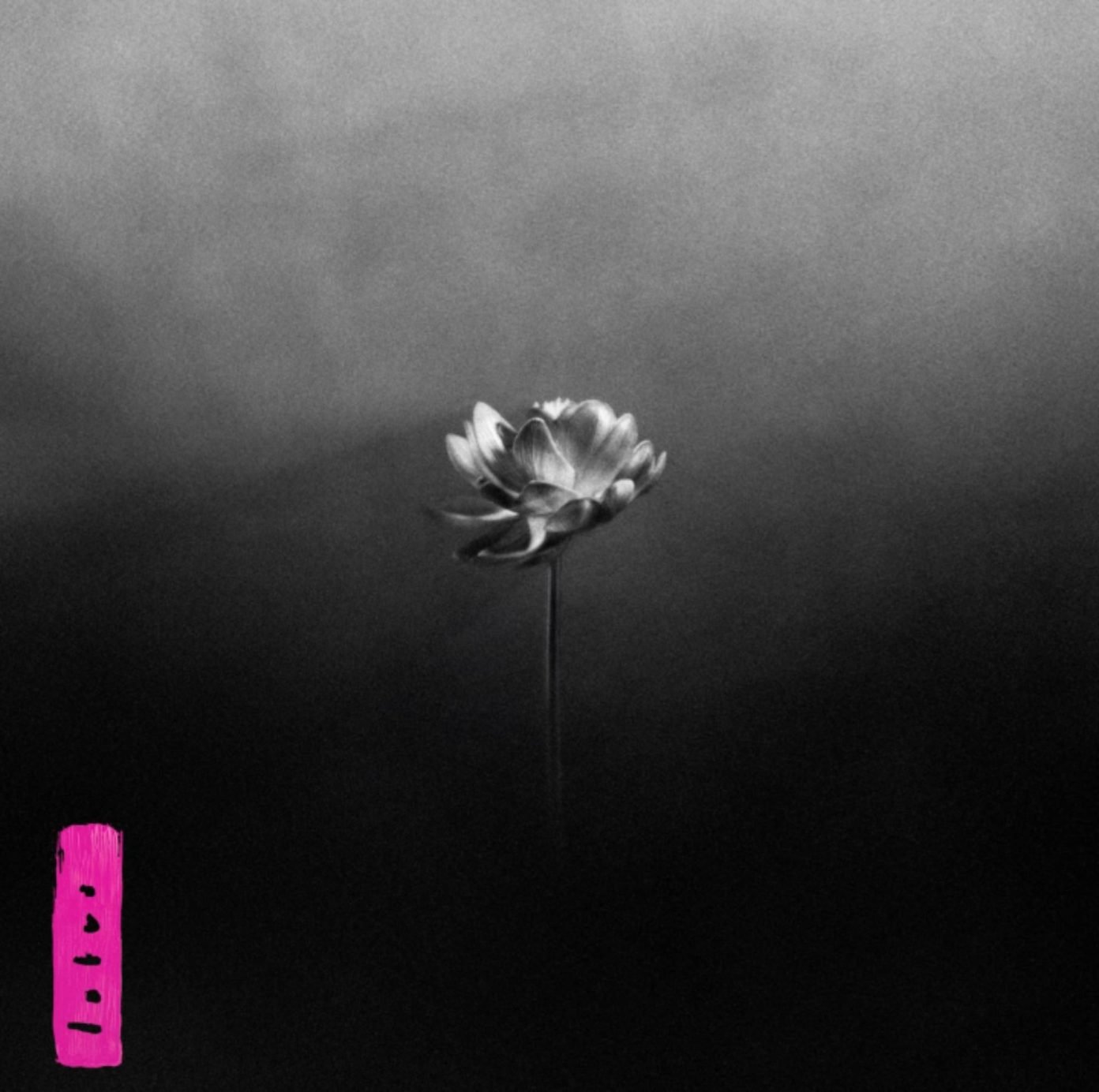 Album 8