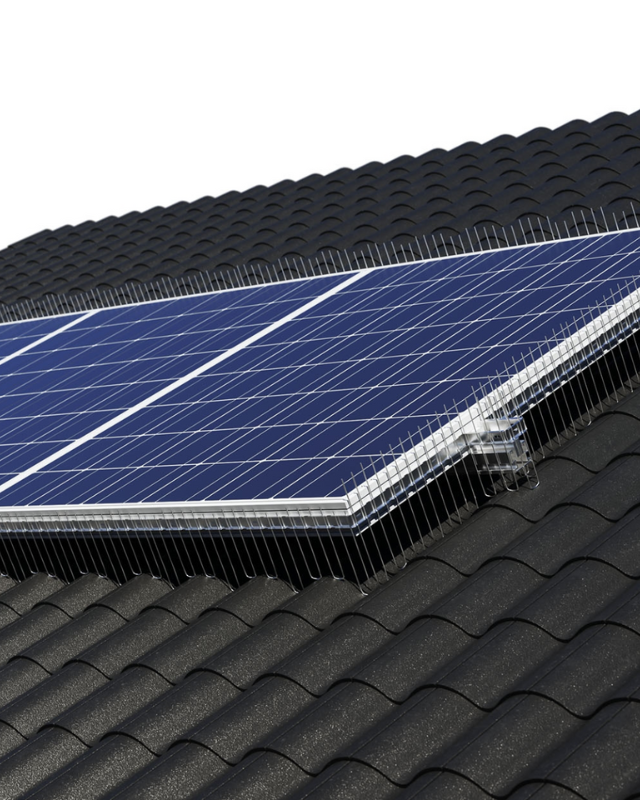 Photovoltaikspikes – Schutz für PV-Module