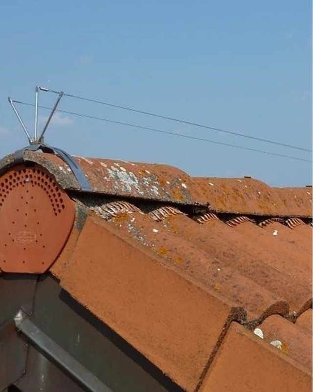 Spanndrahtsysteme an Fassade