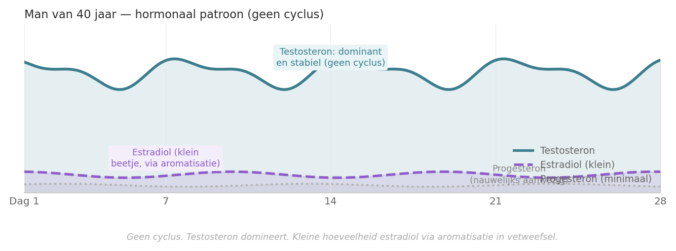 Grafiek van het hormoonpatroon bij een man van 40 jaar: stabiel testosteron, weinig estradiol, nagenoeg geen progesteron.