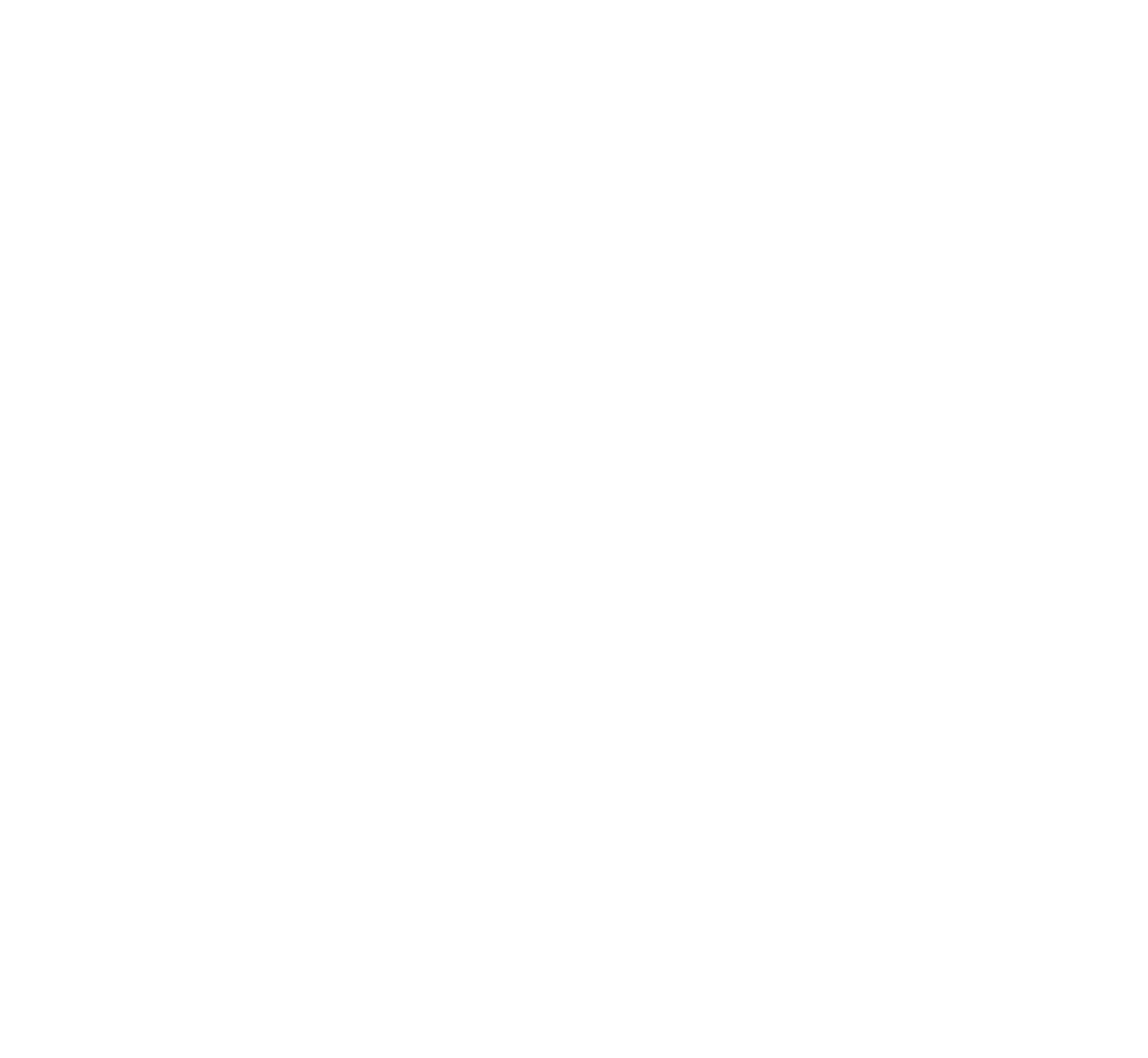 Supreme Hoops Training logo