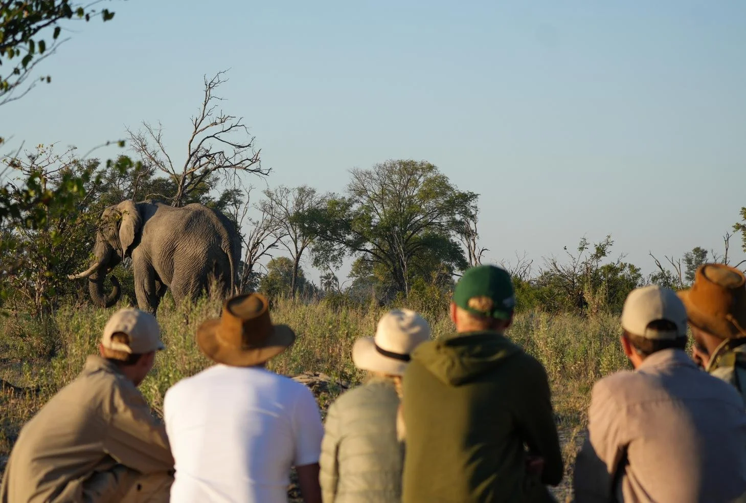 Walking safari from Atzaro Okavango Camp with elephant sighting, Botswana
