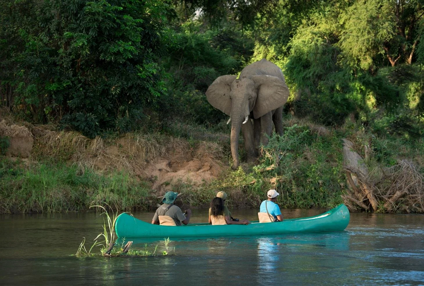 Canoe safari on the Zambezi River with elephant sighting from Lolebezi Lodge, Lower Zambezi National Park, Zambia, Nomara