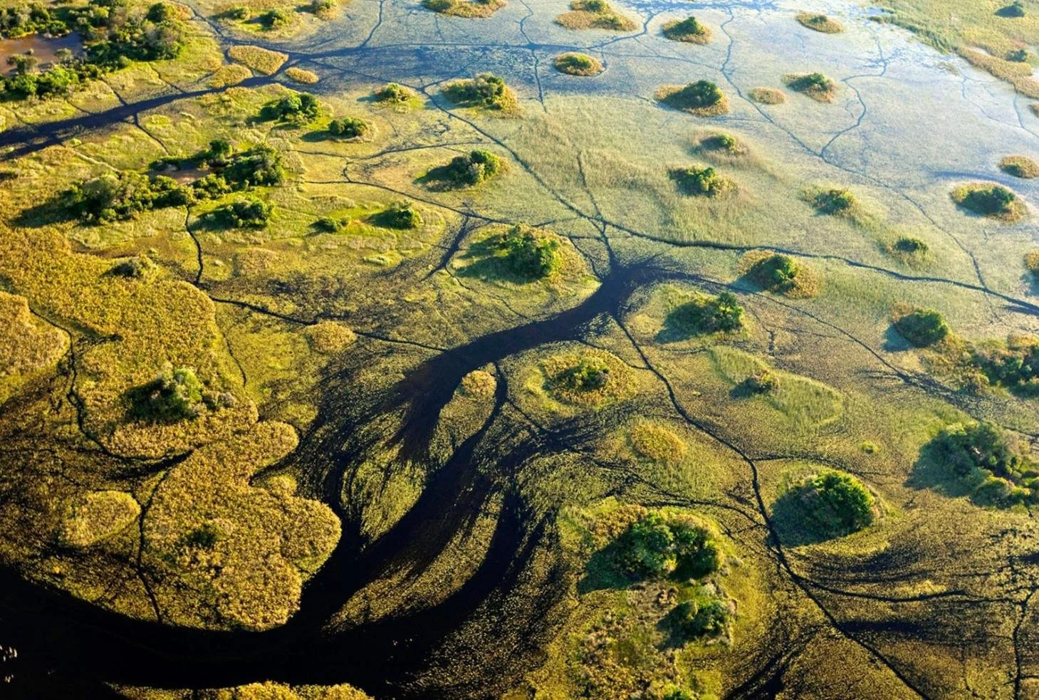 Aerial of the Okavango Delta channels and islands in northern Botswana